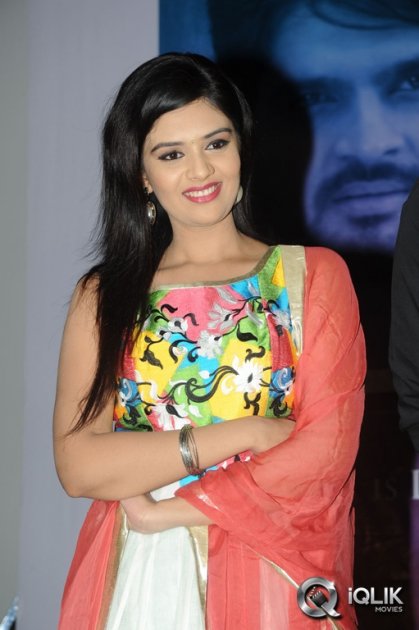 Prema-Ishq-Kaadhal-Audio-Success-Meet